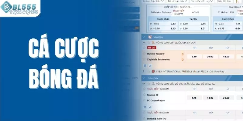 Cá Cược Bóng Đá BL555 Là Gì? Điểm Danh Các Loại Kèo Hot 1 Cá cược bóng đá