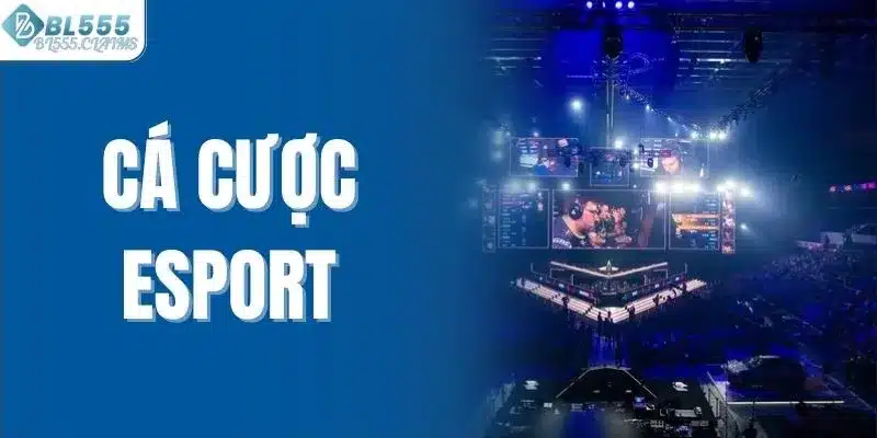 Cách Cá Cược Esport An Toàn, Hiệu Quả Cho Người Mới Bắt Đầu 1 Cá cược esport