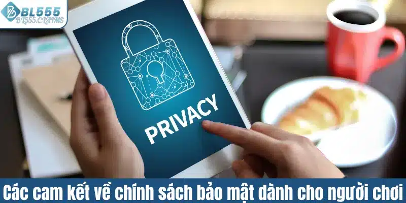 Chính Sách Bảo Mật 3 Các cam kết về chính sách bảo mật dành cho người chơi