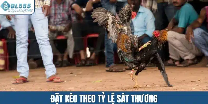 Đá Gà Cựa Sắt - Hấp Dẫn Với Lối Chơi Đầy Kịch Tính 3 Đặt kèo theo tỷ lệ sát thương
