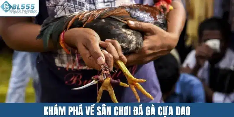 Đá Gà Cựa Dao Và Phương Pháp Cá Cược Hiệu Quả Cho Người Mới 1 Khám phá về sân chơi đá gà cựa dao