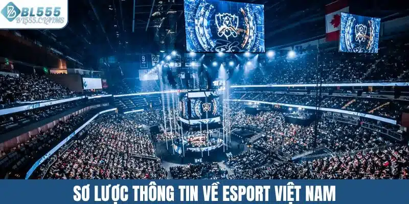 Các Giải Đấu Esport Lớn Đang Thu Hút Người Chơi Việt 1 Sơ lược thông tin về esport Việt Nam