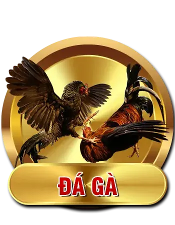 Đá gà